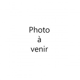 Barytine 8 DH Boiron - Boite 30 ampoules