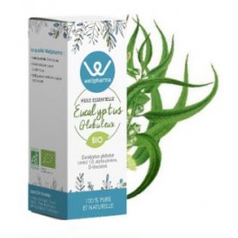 Huile essentielle Eucalyptus Globuleux BIO 10 ml - Wellpharma