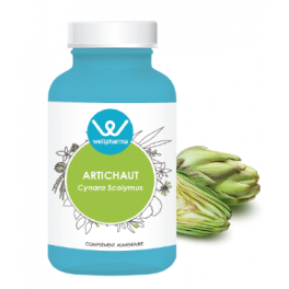 Complément alimentaire Artichaut Wellpharma - 90 gélules