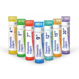 Chamomilla vulgaris Boiron - Tube granules et doses