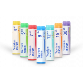Teucrium marum Boiron - Tubes granules et doses