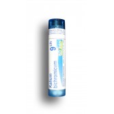 Kalium bichromicum Boiron - Tubes granules et doses