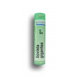 Bovista gigantea Boiron - Tubes granules et doses