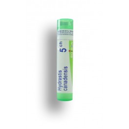 Hydrastis canadensis Boiron - Tubes granules et doses