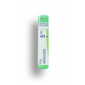 Iris versicolor Boiron - Tubes granules et doses