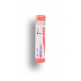 Ferrum metallicum Boiron - Tubes granules et doses