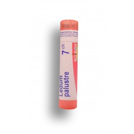 Ledum palustre Boiron - Tubes granules et doses