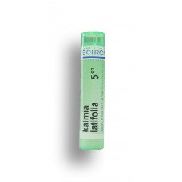 Kalmia latifolia Boiron - Tubes granules et doses