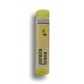 Pareira brava Boiron - Tubes granules et doses