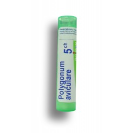 Polygonum aviculare Boiron - Tubes granules et doses